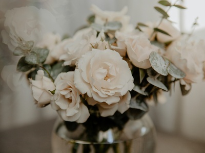Spray Rose