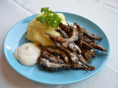 Vendace