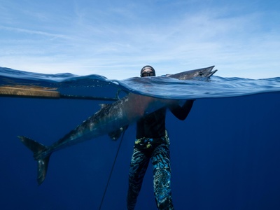 Wahoo