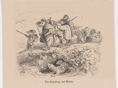 Wood Lemming