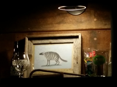 Aardwolf