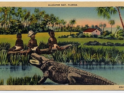 Alligator