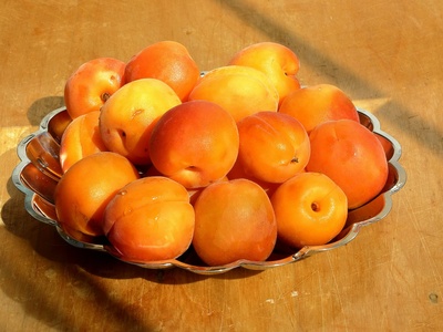 Apricot (damasco)
