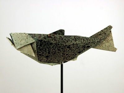 Arctic Char