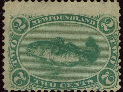Atlantic cod
