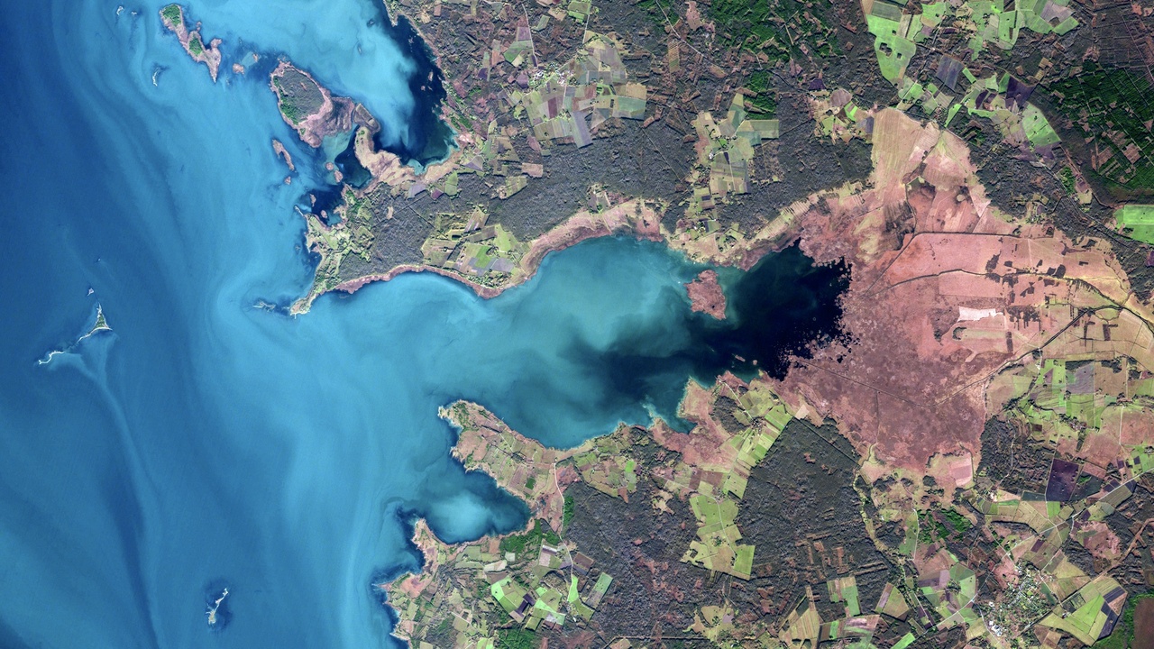 Migratory birds at Matsalu National Park shoreline