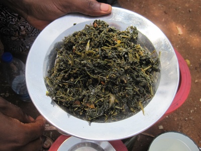 Bitterleaf