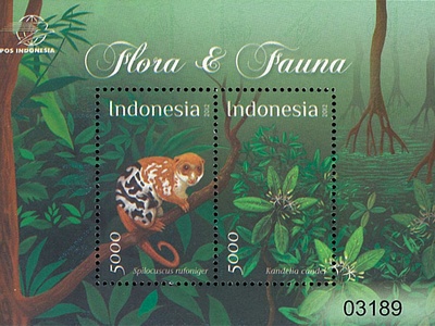 Black-spotted Cuscus