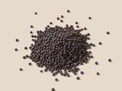 Black Mustard