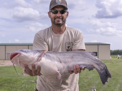 Blue catfish
