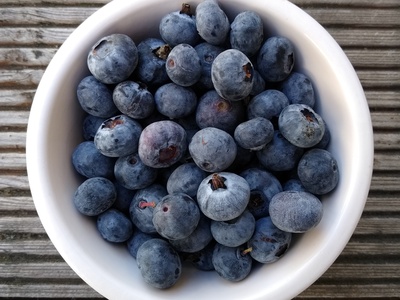 Blueberry