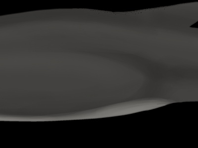 Burmeister's Porpoise