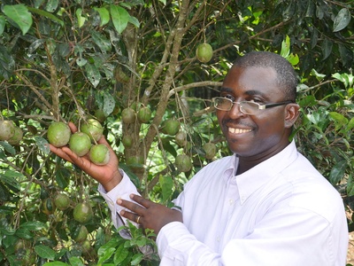 Bush Mango