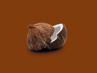 Bwa Koko