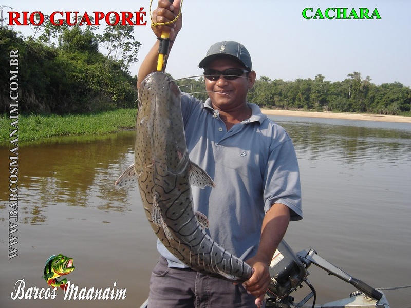 The Complete List of Pantanal Fish - Flora Fauna Fun