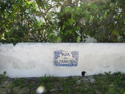 Carob (Alfarroba)