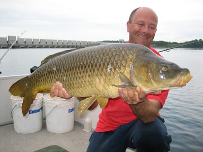 Carp
