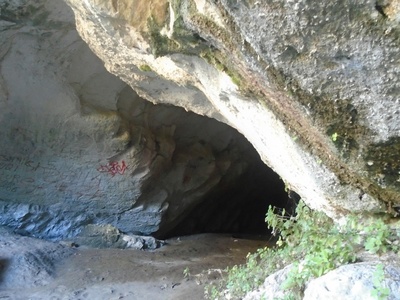 Cave Squeaker