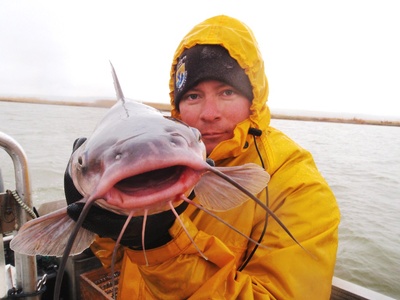 Channel catfish