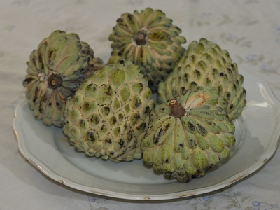 Cherimoya