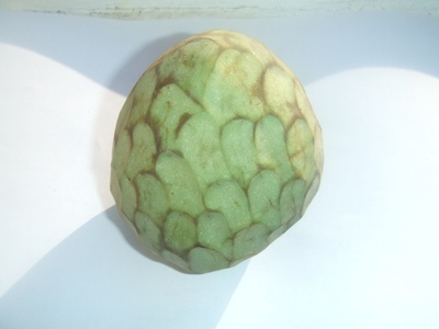 Cherimoya (chirimoya)