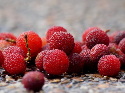 Chinese bayberry