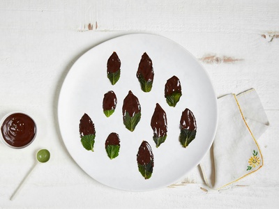 Chocolate mint