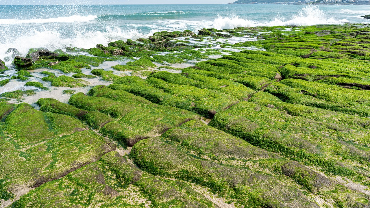 Coastal shoreline with seagrass beds and traditional fishing boats