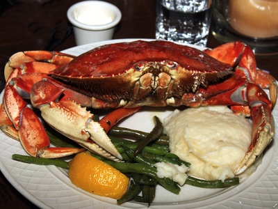 Dungeness crab