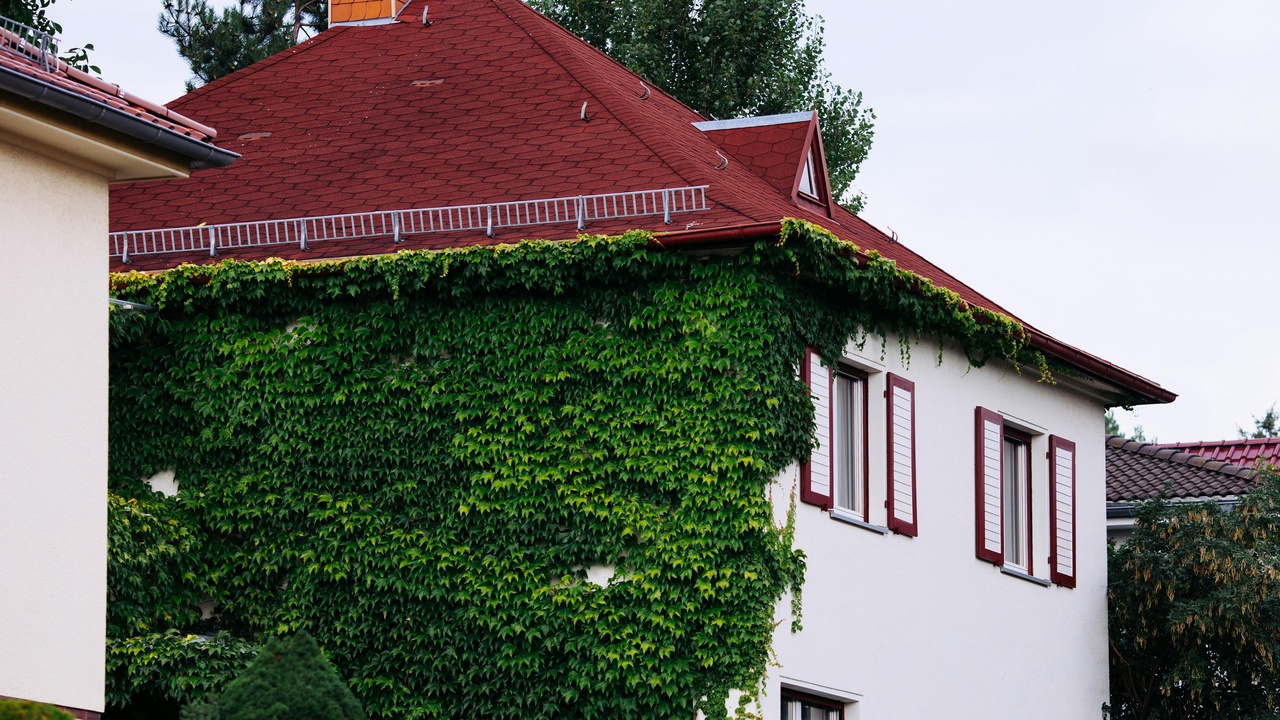 People enjoying a rooftop garden that increases property appeal and supports local jobs