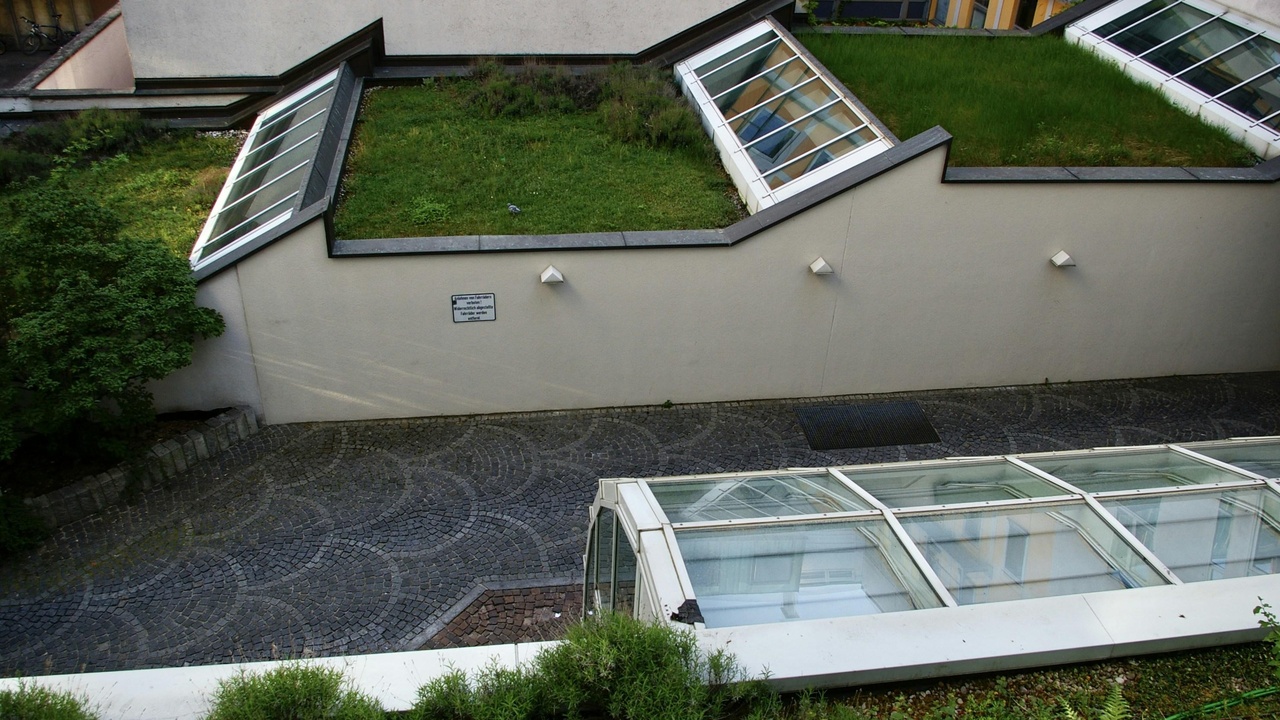 Green roof on a commercial building lowering energy use and protecting the roof membrane