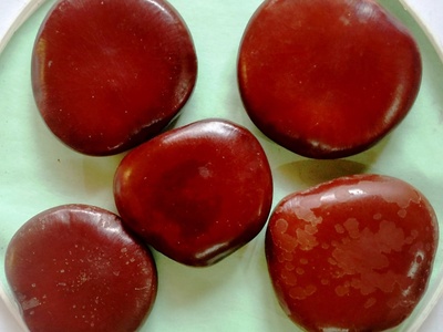 Entada (sea heart)