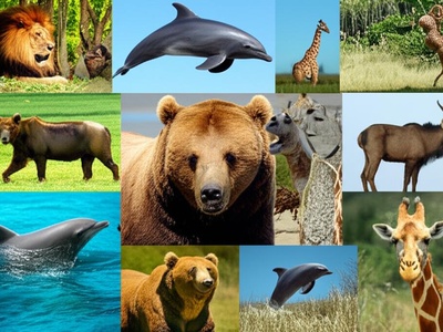 Everett's Tree Shrew