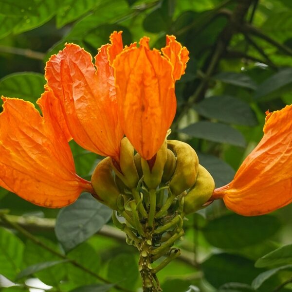 featured_image
