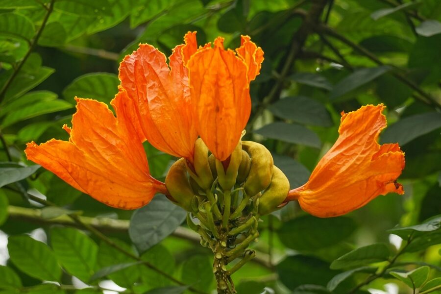 featured_image