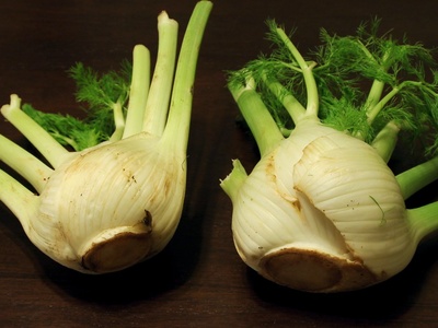 Giant Fennel