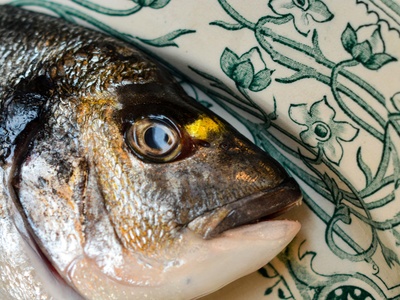 Gilthead sea bream