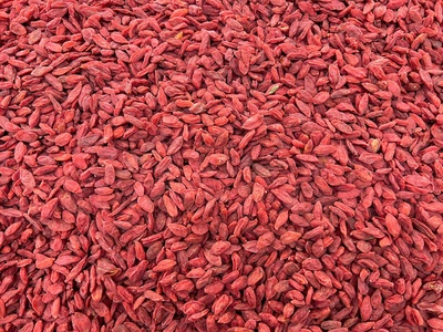 Goji berry