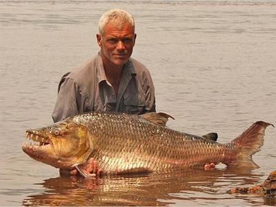 Goliath Tigerfish
