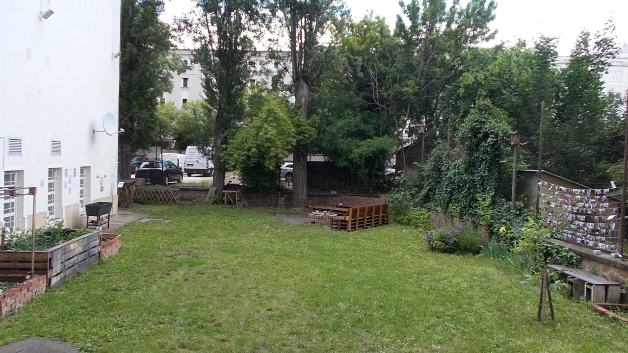 Community members tending a rooftop garden that improves air quality and social ties