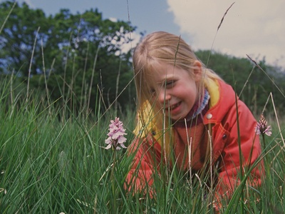 Heath Spotted-orchid