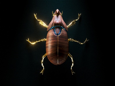 Hercules Beetle