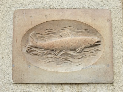 Huchen