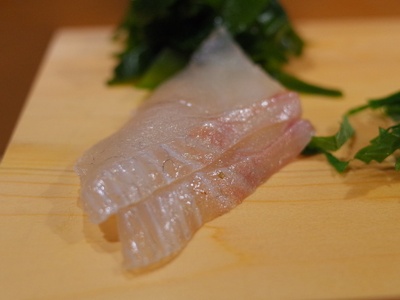 Japanese sea bass