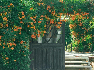 Kiss-Me-Over-The-Garden-Gate