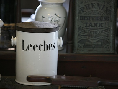 Leech