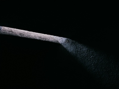 Long-fingered Bat