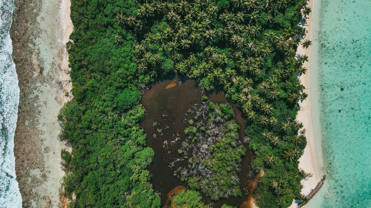 Aerial view of mangrove-lined bay and limestone rock islands in Palau