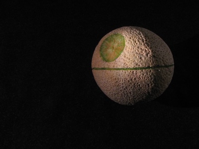 Melon