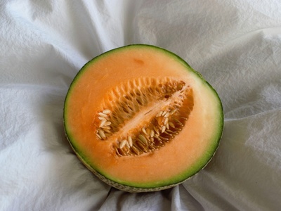 Melon (Melão)
